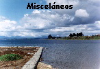 Miscelneos